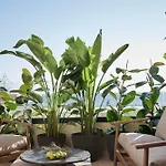 Helea Lifestyle Beach Resort